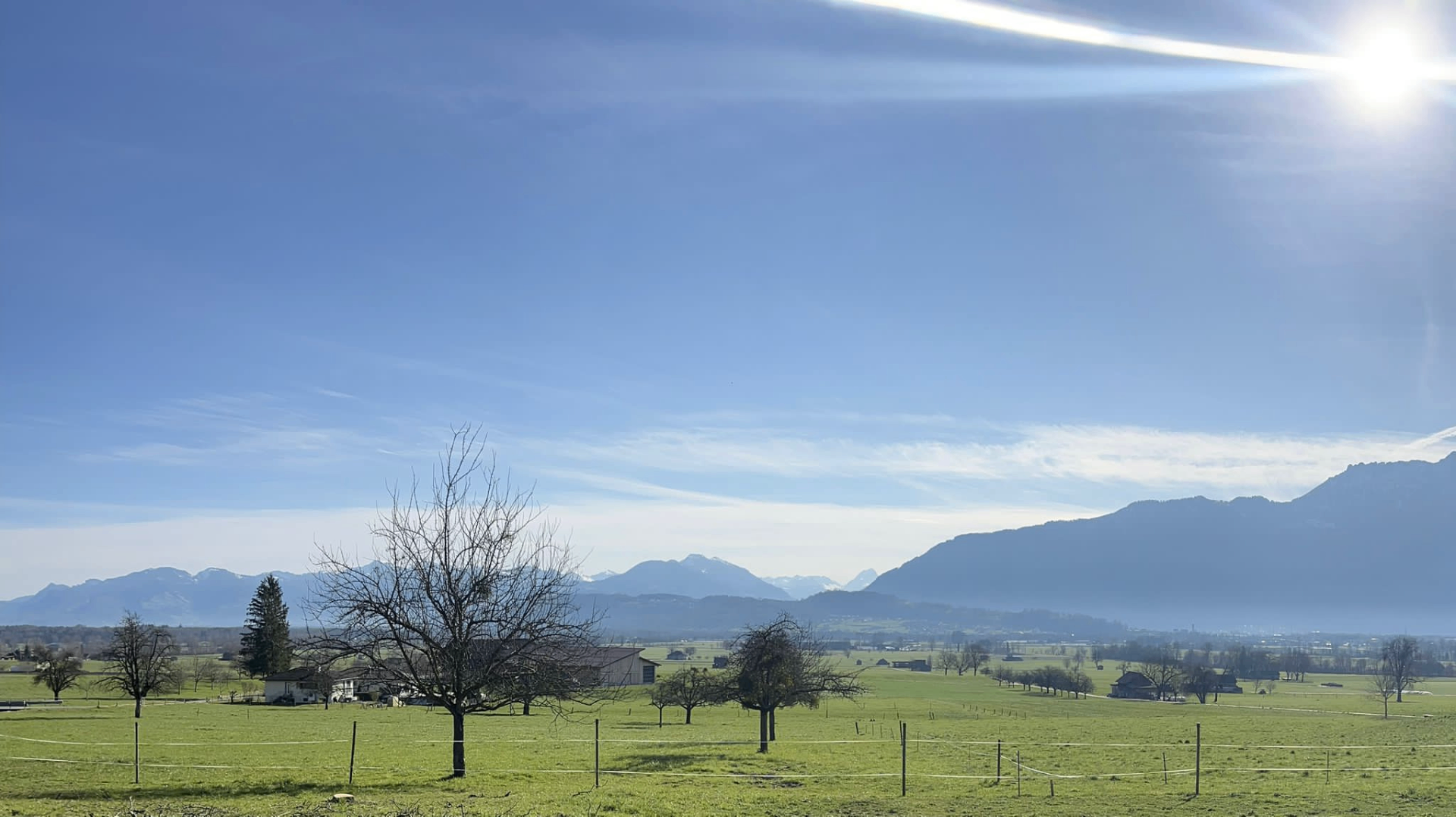 Weitblick über das Rheintal in die Alpen